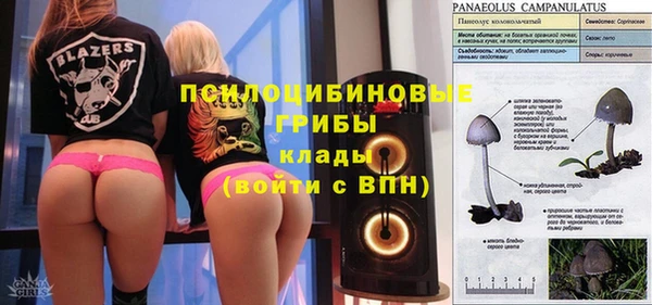 амф Касимов
